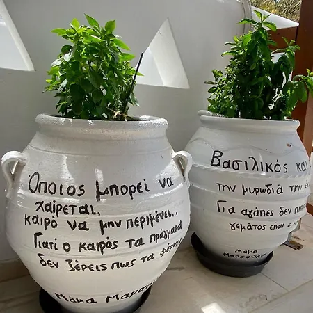 Zisis Penzion *
