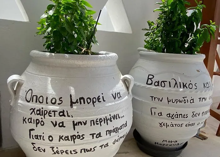 Zisis Πανσιόν 4*